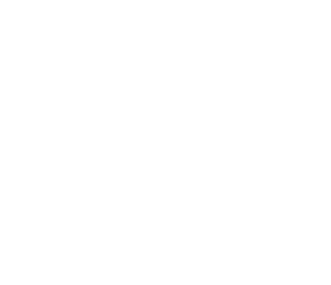 The RAW Experience